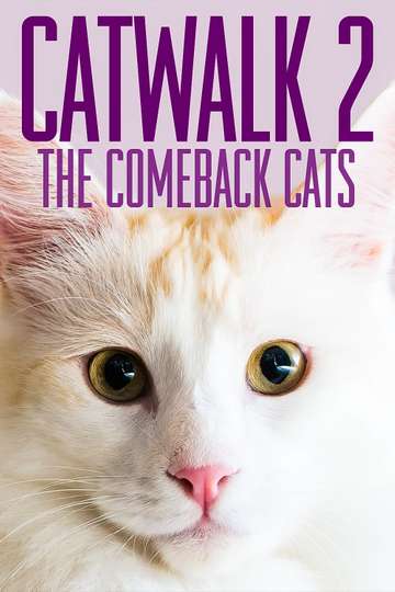 Catwalk 2 The Comeback Cats Poster