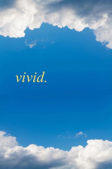 Vivid Poster