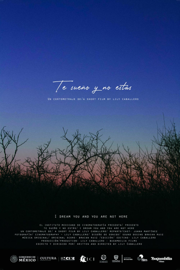 I dream you and you are not here Poster