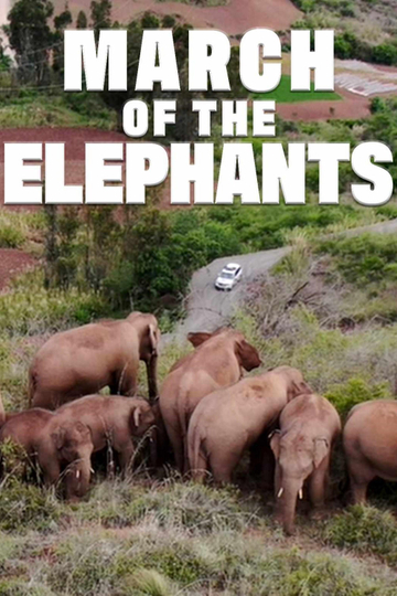 March of the Elephants