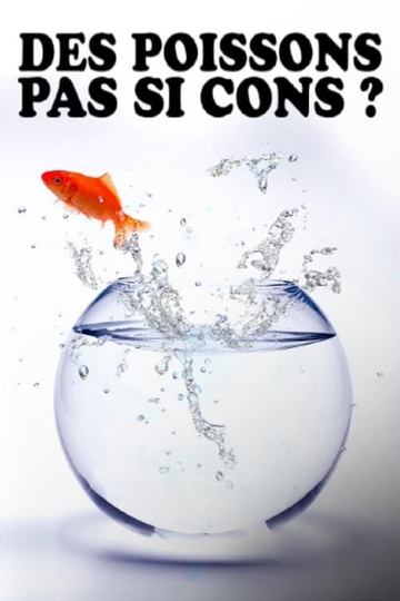 Des poissons pas si cons 