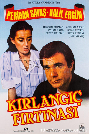 Kırlangıç Fırtınası Poster