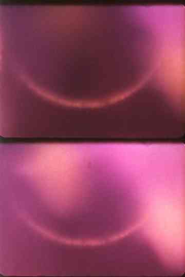 Light Licks Series