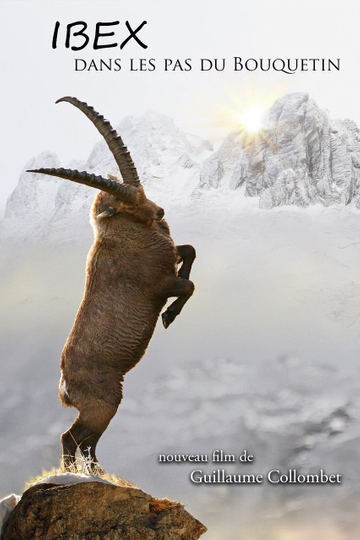 Ibex In the Footsteps of the Ibex Poster