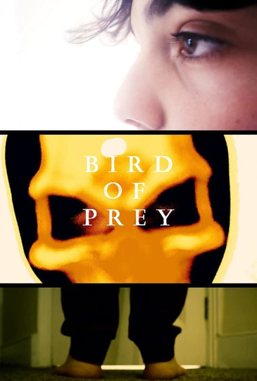 Bird Of Prey Poster