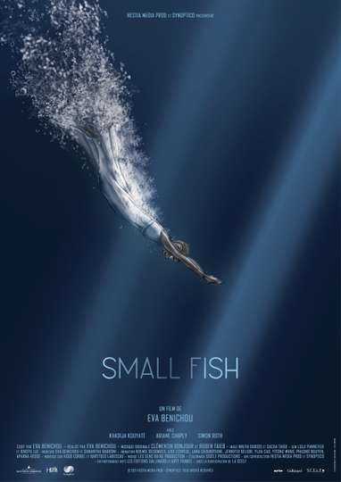 Small Fish Poster