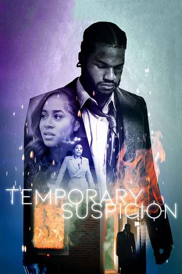 Temporary Suspicion Poster