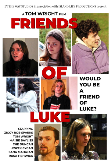 Friends of Luke Poster