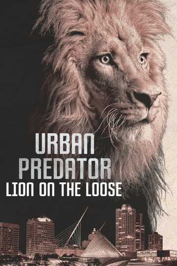 Urban Predator Lion on the Loose