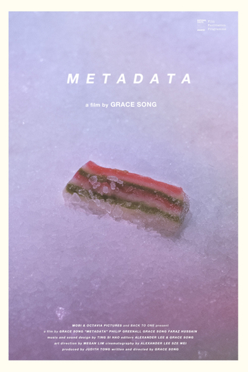 Metadata