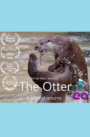 The otter a legend returns