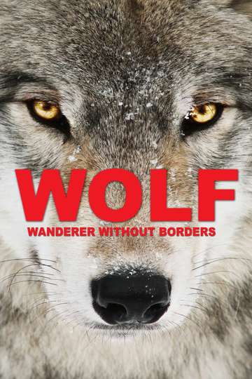 Wolf Wanderer Without Borders Poster