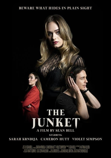 The Junket Poster