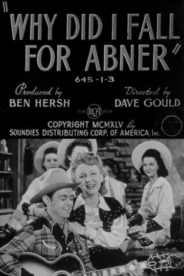 Why Did I Fall for Abner Poster
