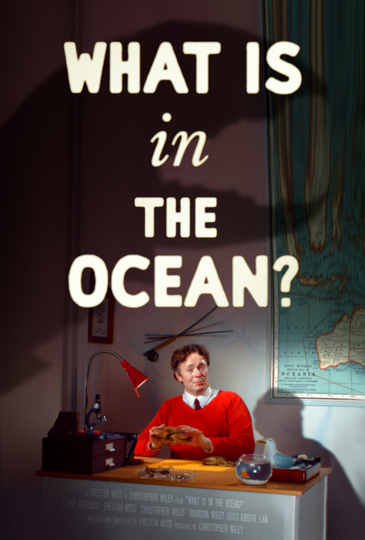 What Is in the Ocean?