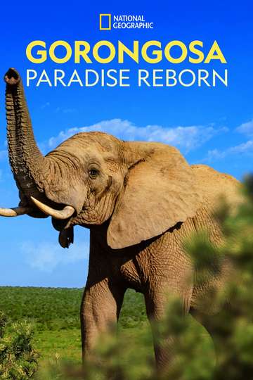 Gorongosa Paradise Reborn Poster