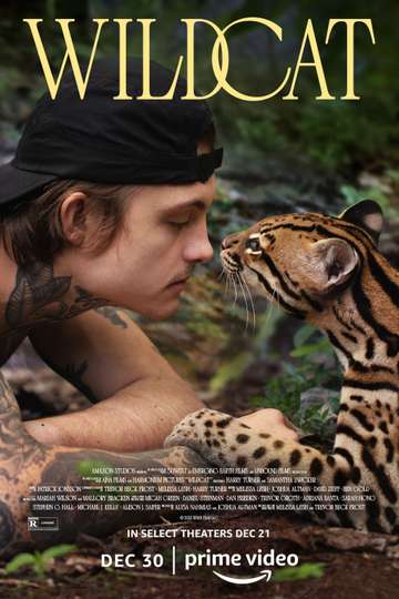 madam phung's last journey 2014 Wildcat poster