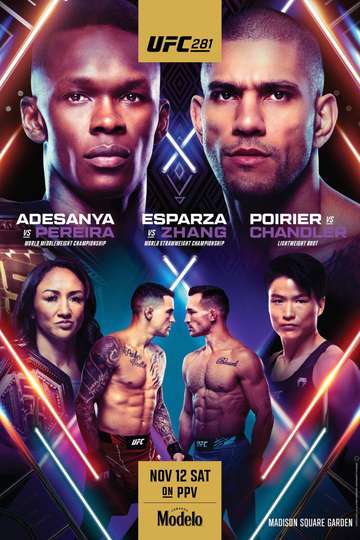 UFC 281: Adesanya vs. Pereira Poster
