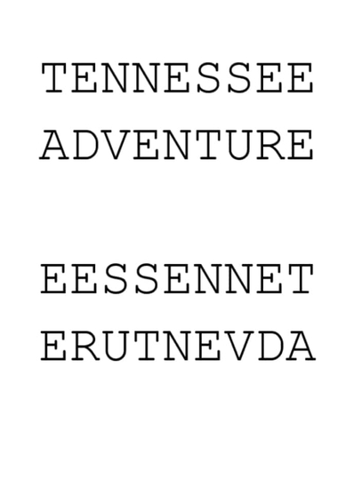 Tennessee Adventure Poster