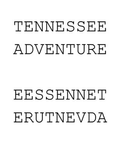 Tennessee Adventure Poster