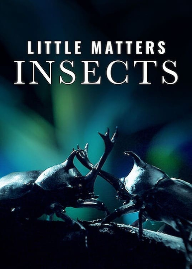 Little Matters Insects