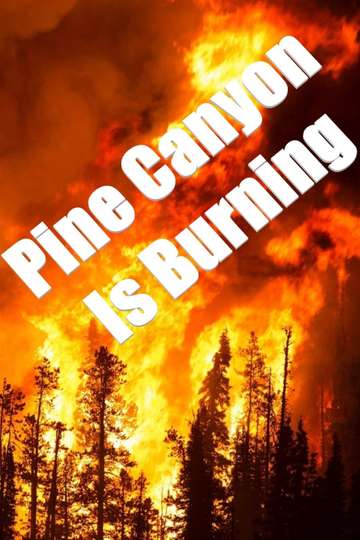 Pine Canyon Is Burning Poster