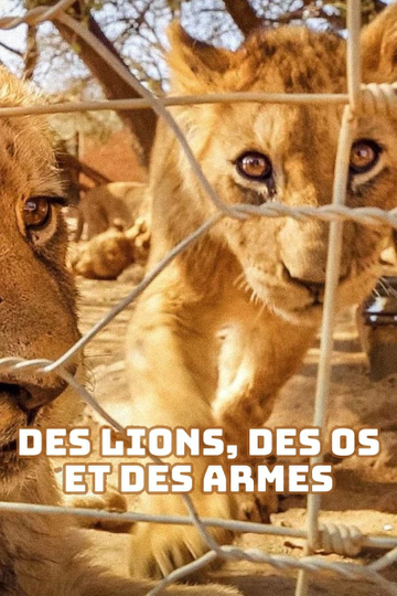 Des lions des os et des armes  Le trafic des fauves