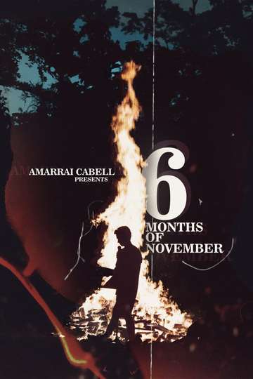 6 Months of November Poster