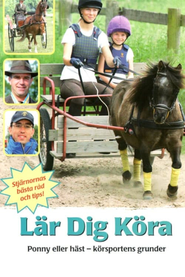 Lär dig köra Poster