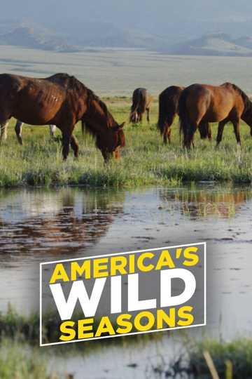 America's Wild Seasons