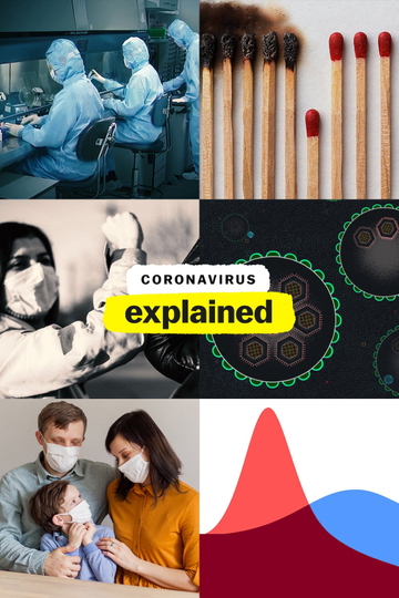 Coronavirus, Explained Poster