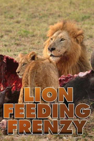 Lion Feeding Frenzy Poster