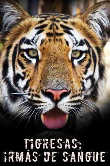 Tigress Blood Poster