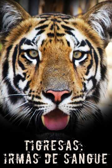 Tigress Blood