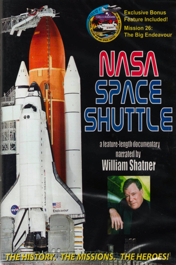 The Space Shuttle Poster