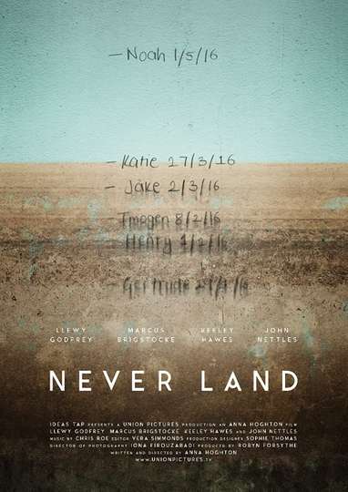 Never Land Poster