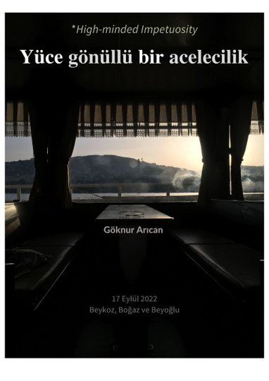 Yüce gönüllü bir acelecilik / High-minded Impetuosity