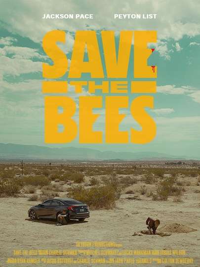 Save the Bees Poster