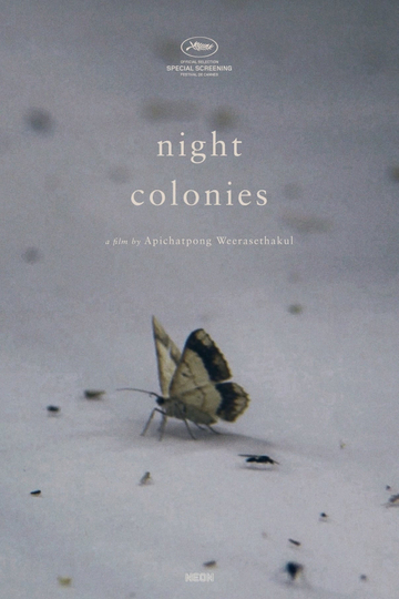 Night Colonies