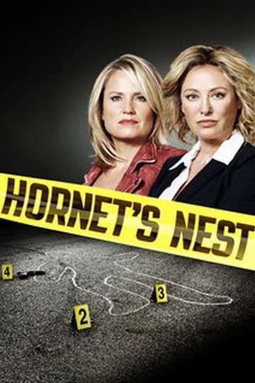 Hornets Nest Poster