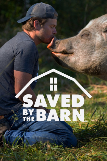 Saved By The Barn