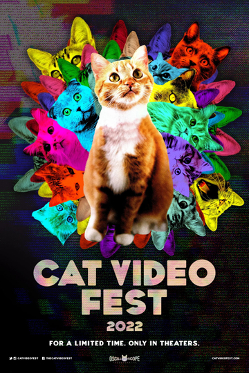 Cat Video Fest 2022