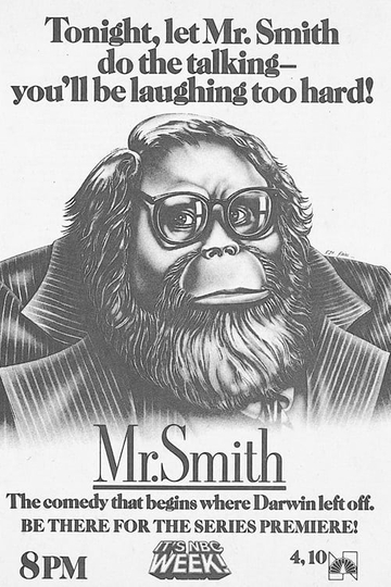 Mr. Smith