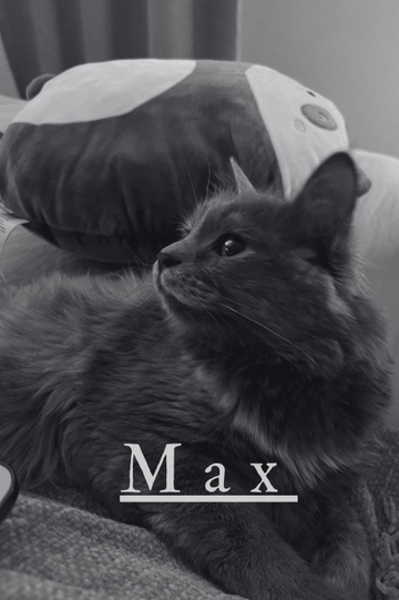 Max