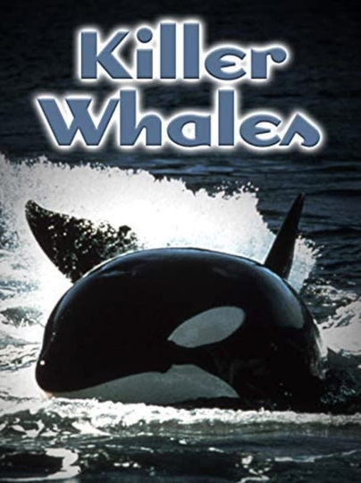 Killer Whales: Up Close and Personal Poster