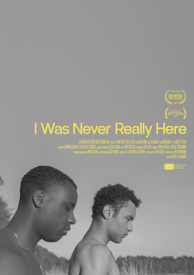 I Was Never Really Here Poster