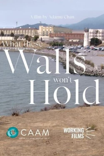 What These Walls Won't Hold Poster