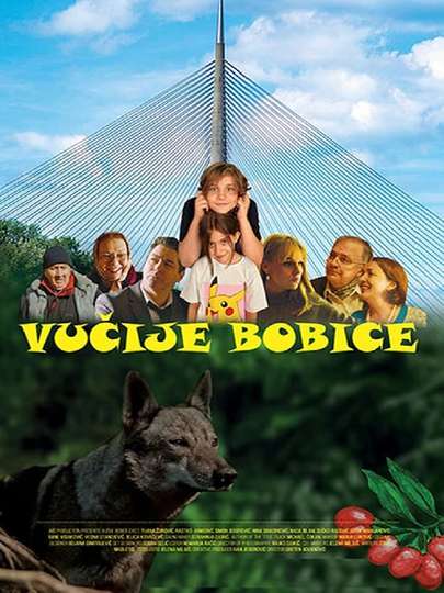 Wolfberries Poster