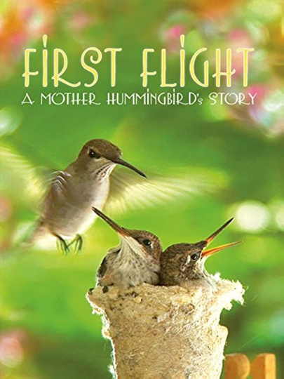 First Flight: A Mother Hummingbird's Story Poster