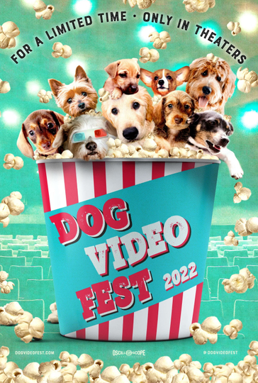 DogVideoFest 2022